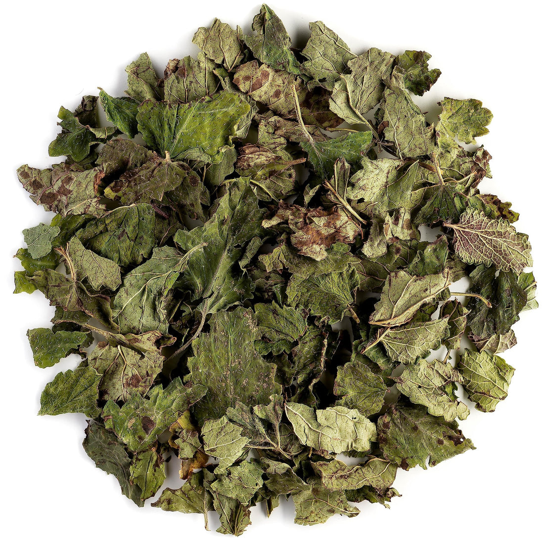 Lemon Balm Tea: Calm, Clarity, and Comfort in a Cup